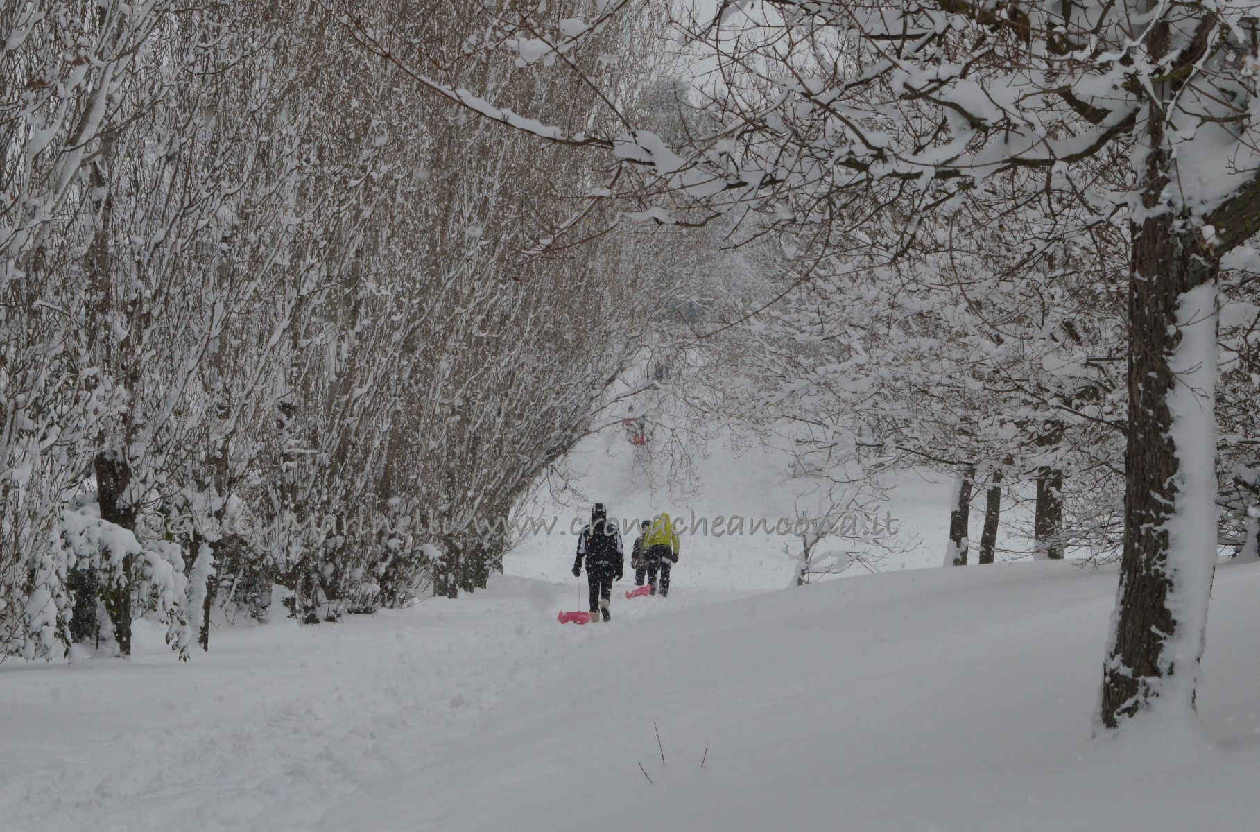 Scatta l’allerta, torna il gelo: <br> neve anche a bassa quota