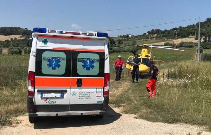 Si ferisce gravemente <br> in campagna a Venagrande: <br> 80enne trasferito al Torrette
