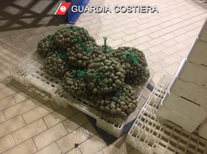 Pesca abusiva: <br> sequestrati 100 metri di rete, <br> rinvenuti 17 kg di vongole <span> (Video)