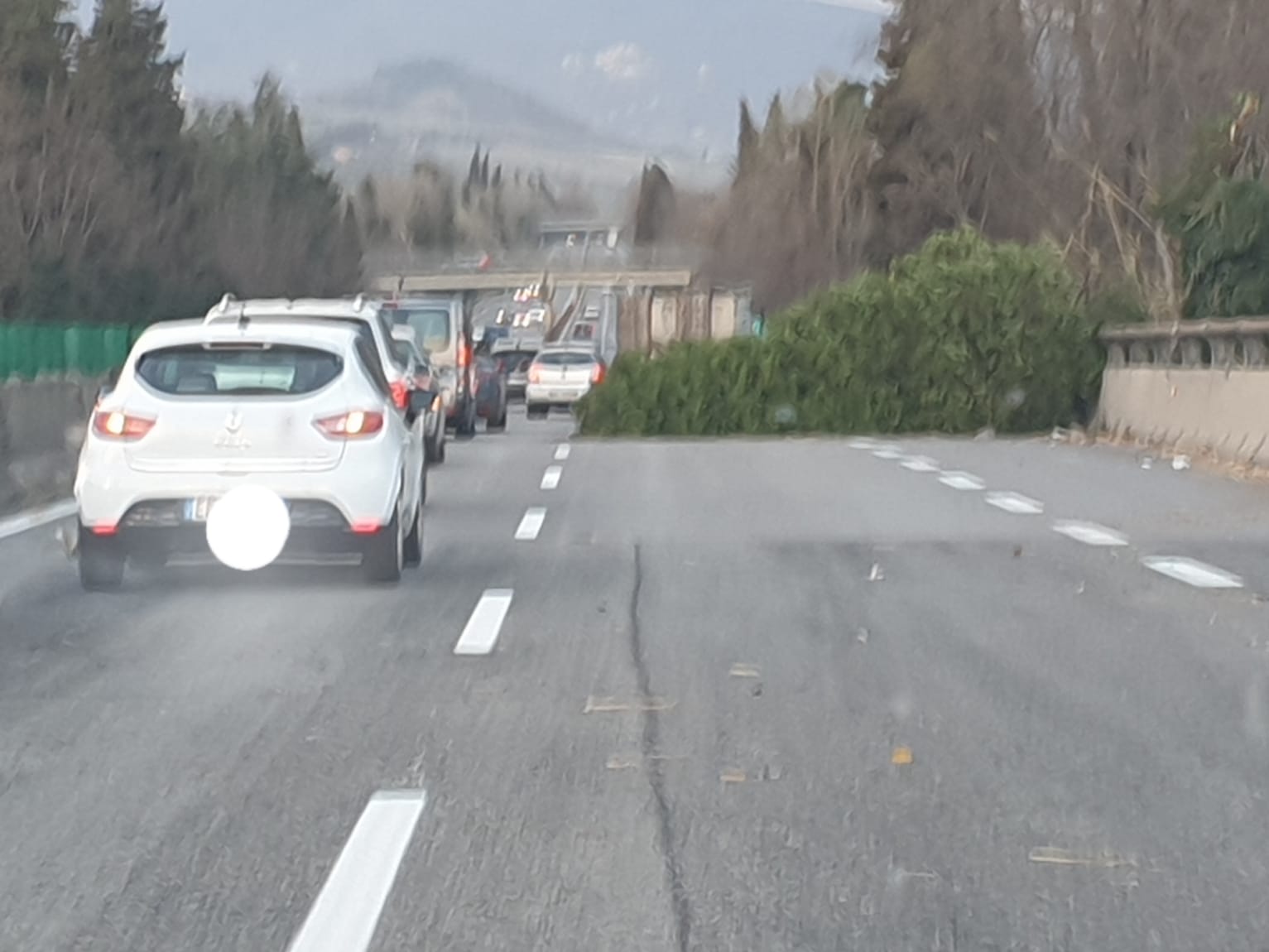 Raffiche di vento abbattono <br> due alberi lungo l’Ascoli-mare <br> Sfiorata la tragedia