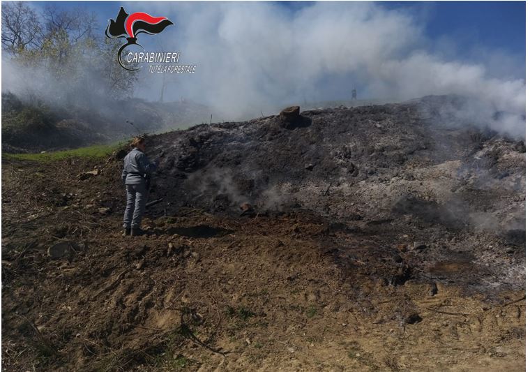 Dà fuoco alle sterpaglie, <br> provoca un incendio: <br> denunciato agricoltore