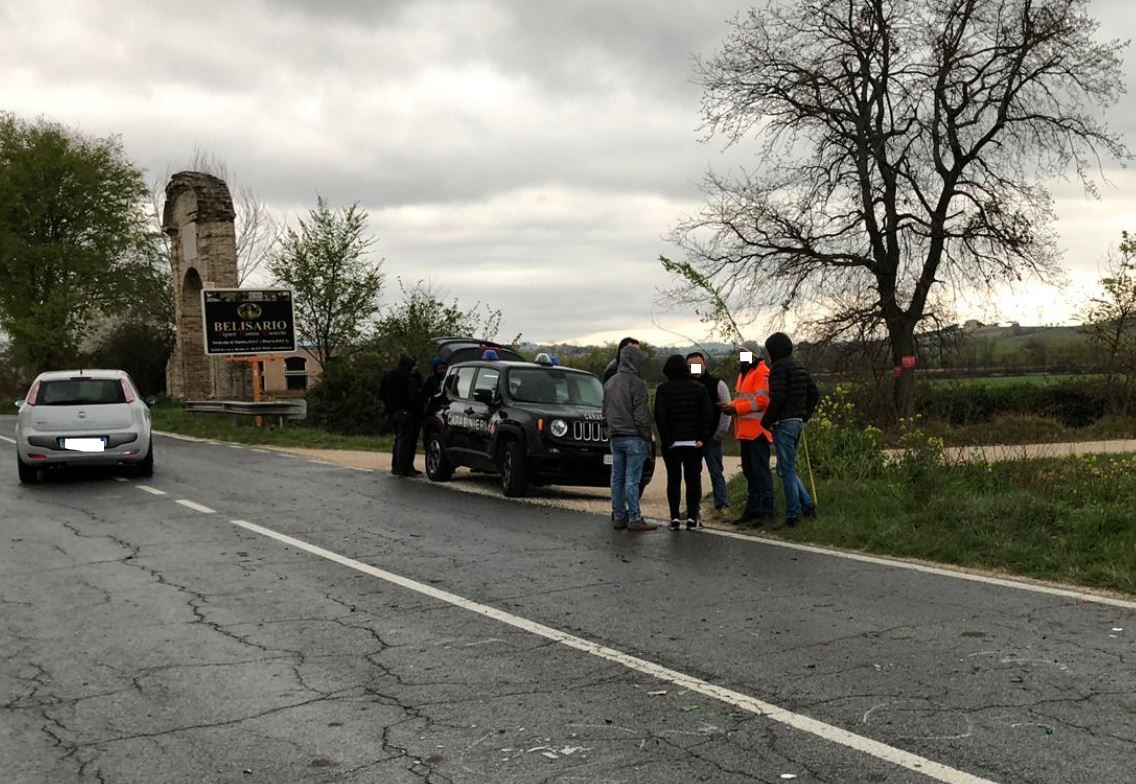 Pastore in giro col gregge, <br> travolto e ucciso da un’auto