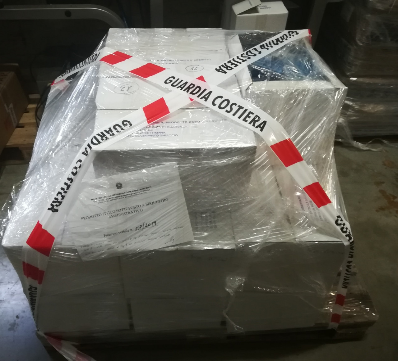 Sequestrati 145 chili di merluzzi <br> già pronti per la vendita