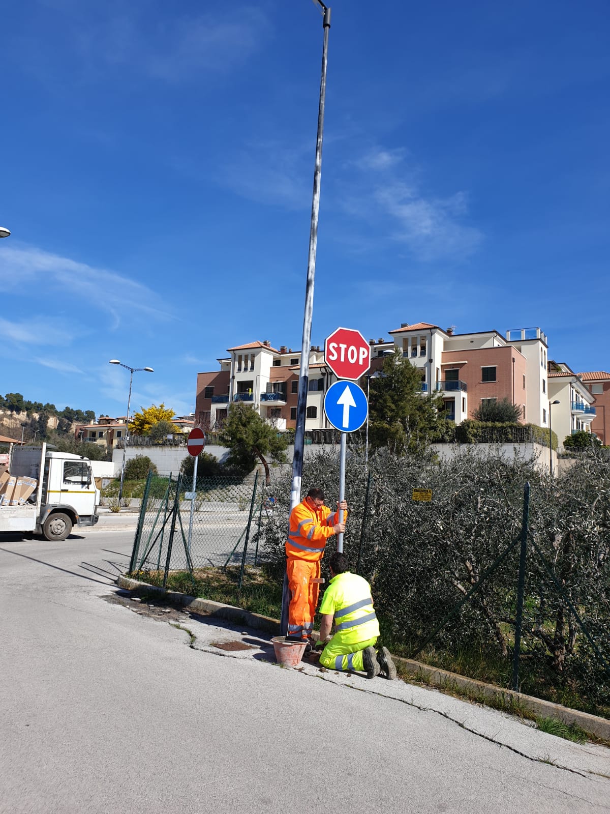 Cambia la viabilità in via Cilea <br> Alberi piantati in via Bologna
