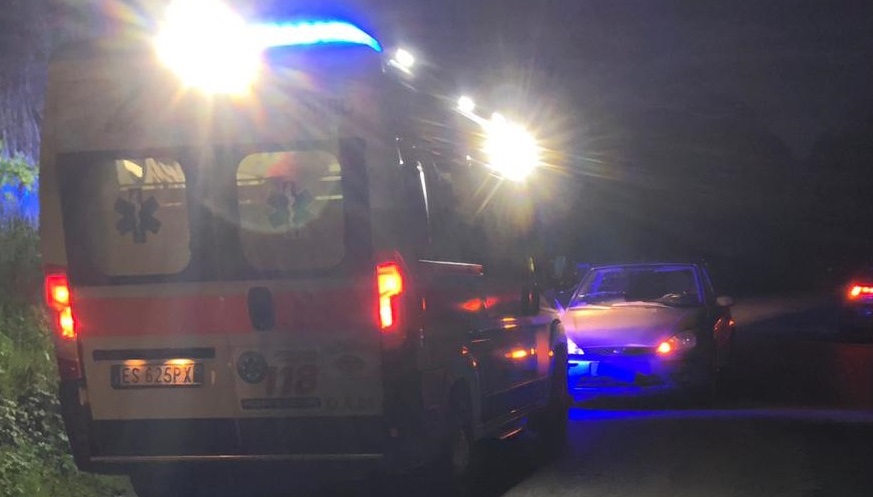 Sbuca un capriolo dalla boscaglia, <br> impatto inevitabile: <br> donna al pronto soccorso