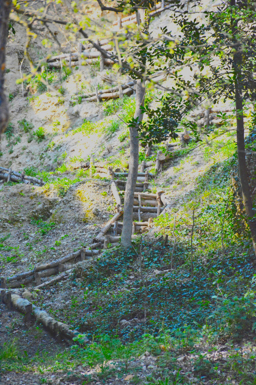 Apre al pubblico <br> il parco segreto <br> che nessuno ha mai visto