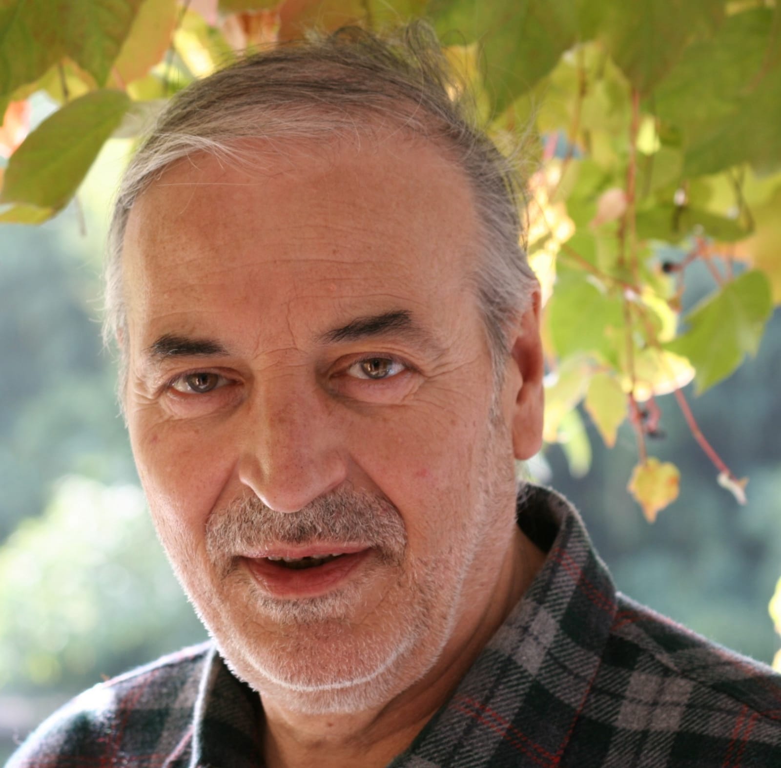 Circolo Cittadino, <br> Mario Stipa nuovo presidente <br> dopo le dimissioni <br> di Ferruccio Squarcia