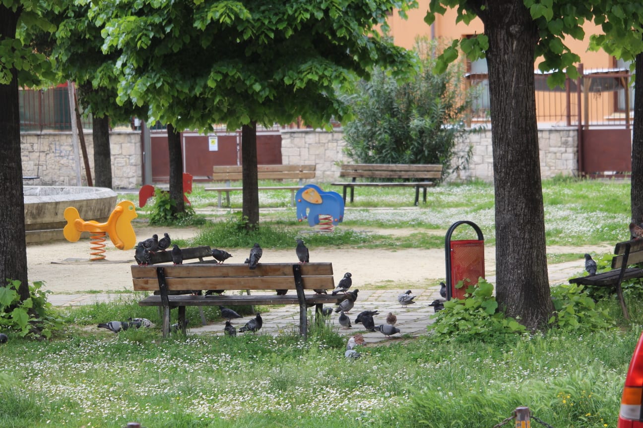 Piazza Diaz invasa dai piccioni <br> «Balconi pieni dei loro escrementi, <br> il Comune deve intervenire subito»