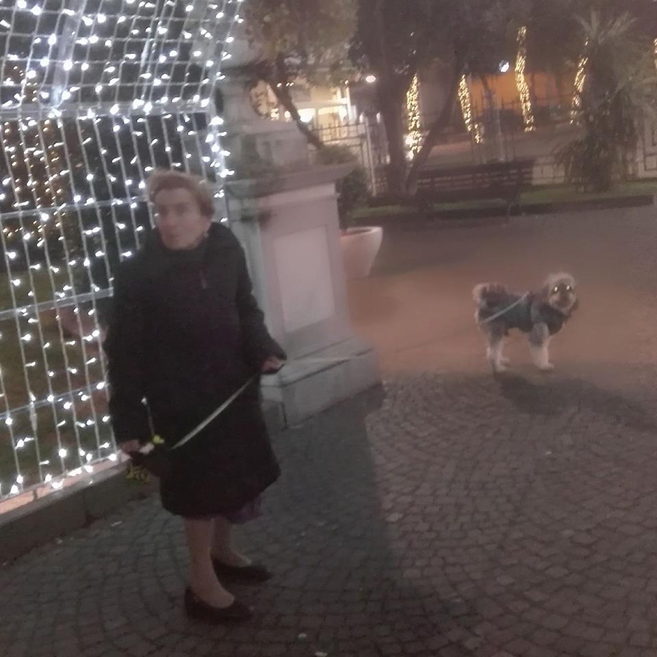 Trova il cane senza vita, <br> muore poco dopo di crepacuore