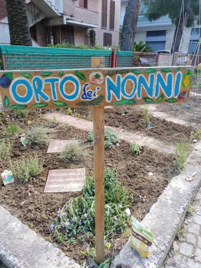 Ecco “l’orto dei nonni”, <br> un ponte tra le generazioni