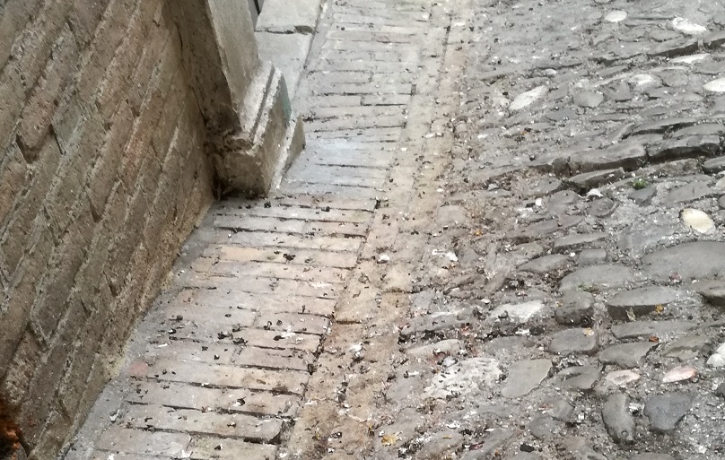 Falchi per cacciare i piccioni: <br> Sant’Elpidio cerca di arginare <br> l’invasione di volatili