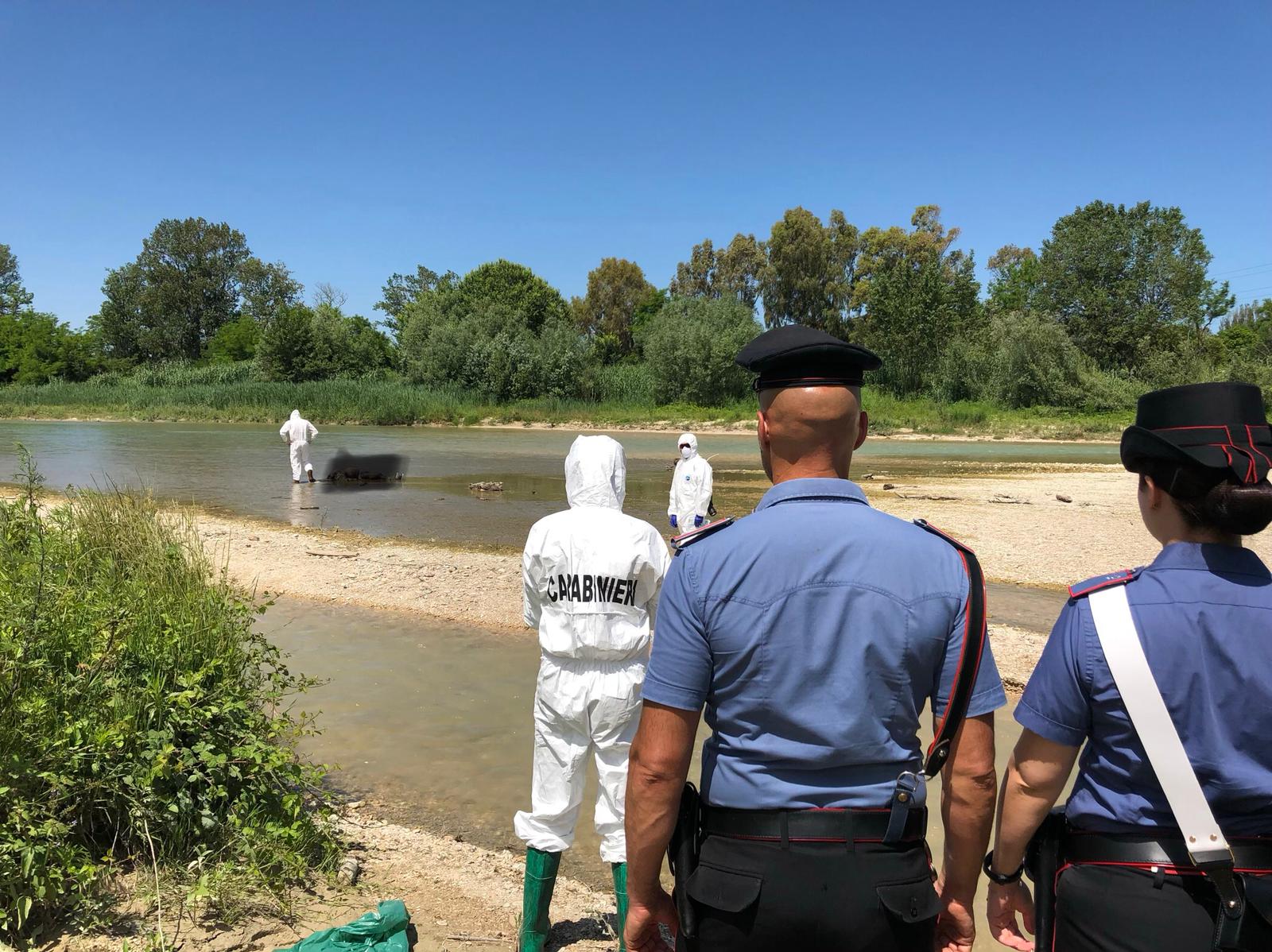 Trovato un cadavere nel fiume