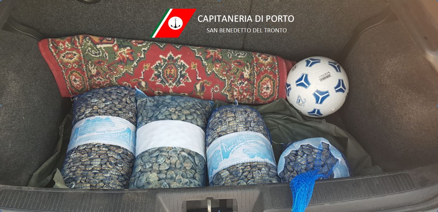 Vongole pescate in modo fraudolento: <br> sequestro e maxi multa <br> a sei imbarcazioni