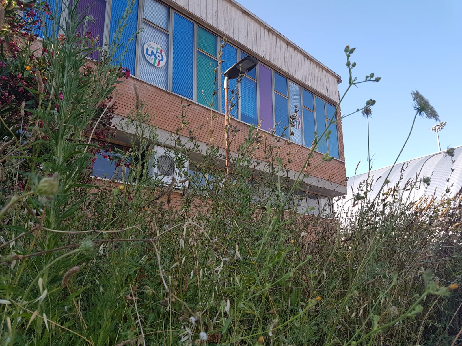 La Cittadella dello Sport <br> abbandonata al degrado <span> (Le foto)