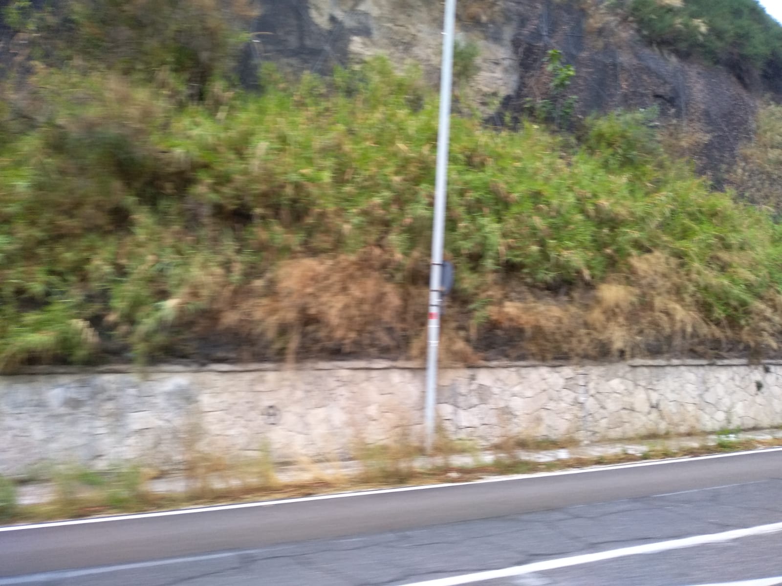 Il marciapiede è pieno di rovi: <br> i pedoni lanciano l’sos