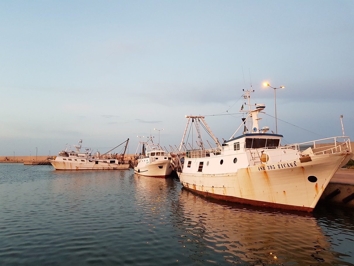 Ferragosto senza pesce a km 0: <br>scatta il fermo anche a San Benedetto
