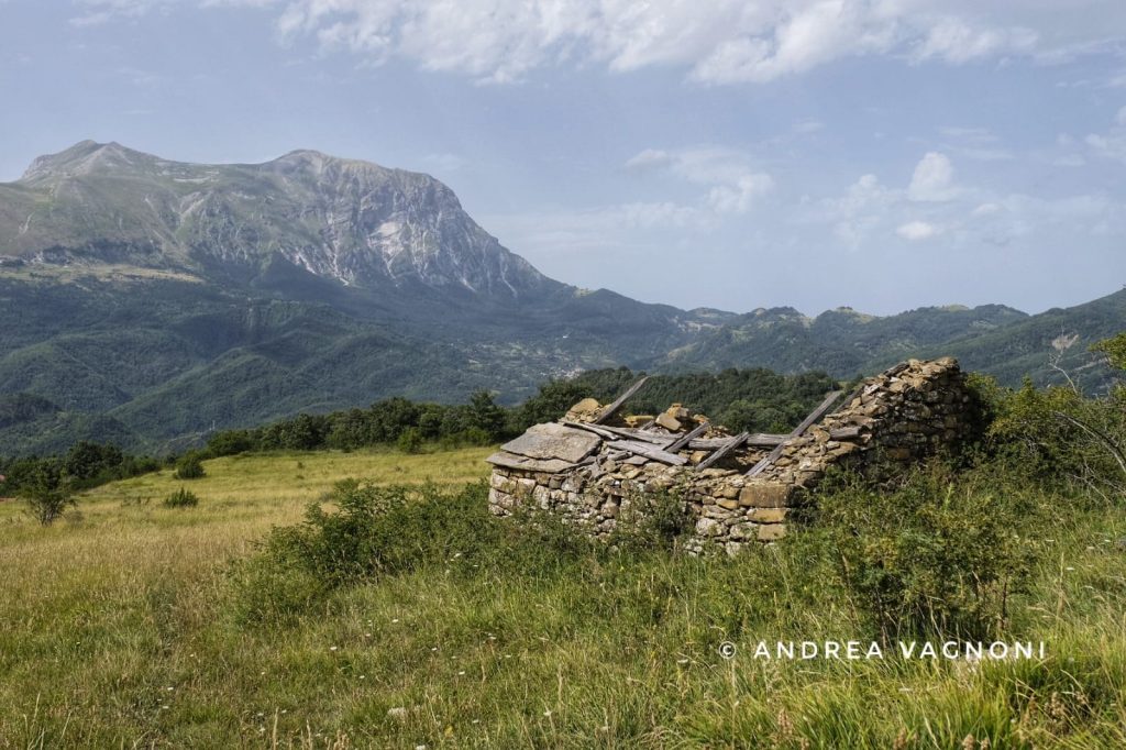 risorgimarche-2019-17-1024x682