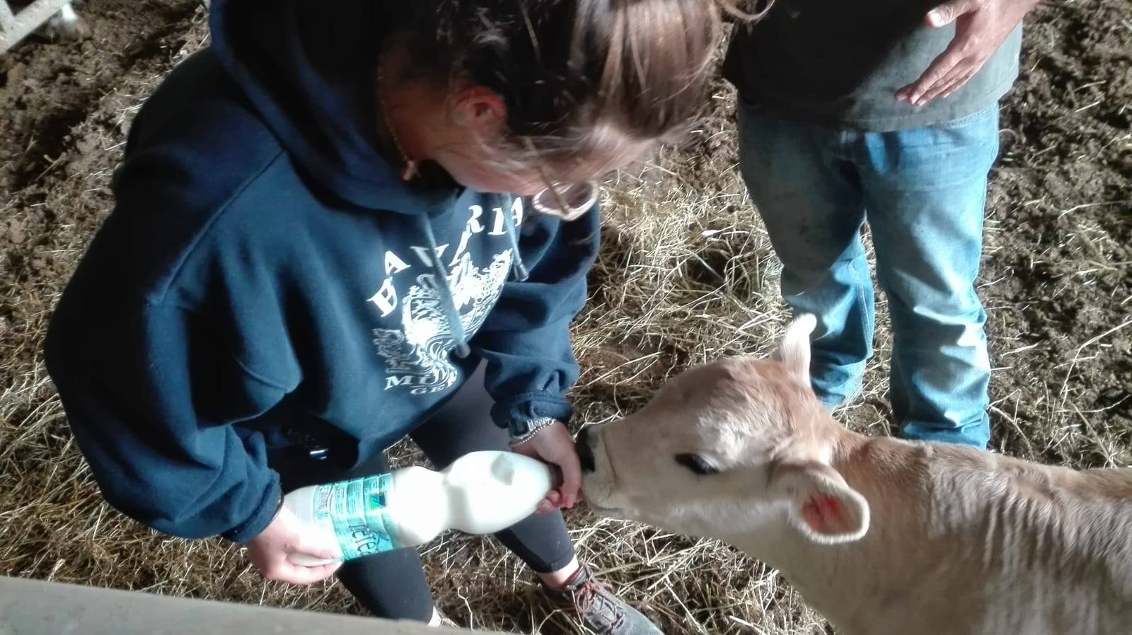 Fiera del Santissimo Crocifisso <br> fra laboratori, km0 <br> e futuro dell’agricoltura