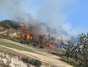 Vasto incendio a Montefiore dell’Aso, <br> arriva anche il Canadair: <br> in fumo 5 ettari di terreno <span> (Foto e video)