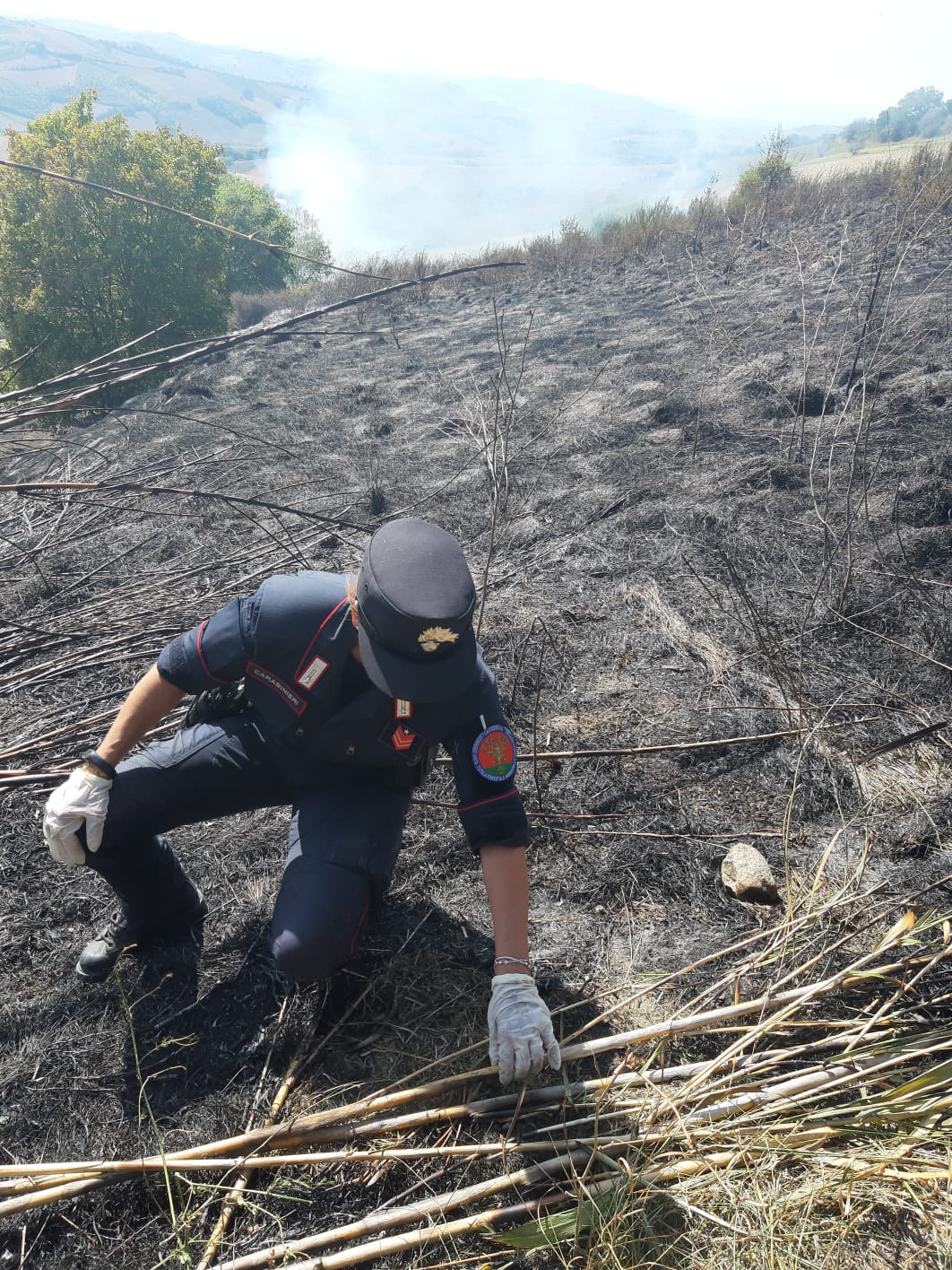 Denunciato un pensionato: <br> è lui il responsabile <br> dell’incendio a Montefiore <br> Voleva bruciare le sterpaglie, <br> ma ha distrutto 5 settari di terreno