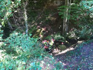 Va a cercare i funghi e cade nel dirupo: <br> un 56enne si frattura femore e ginocchio <br> <span> (Foto e video) </span>