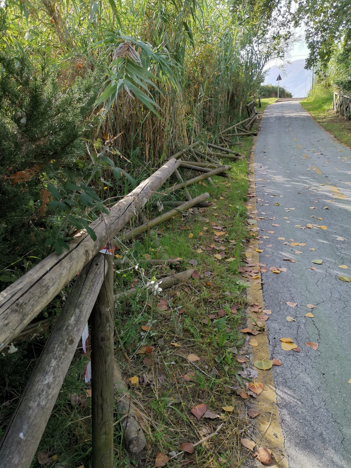 Ciclopedonale di Monticelli, <br> scarseggia la manutenzione
