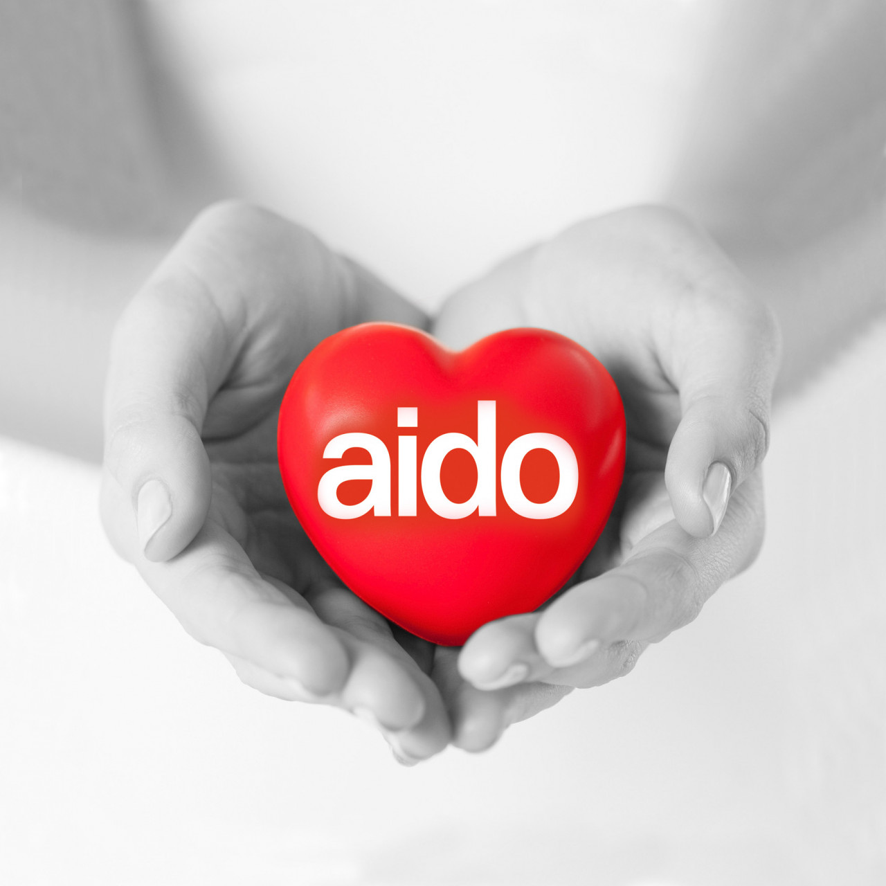 Prelievo organi, <br> tavola rotonda dell’Aido <br> a vent’anni dalla legge