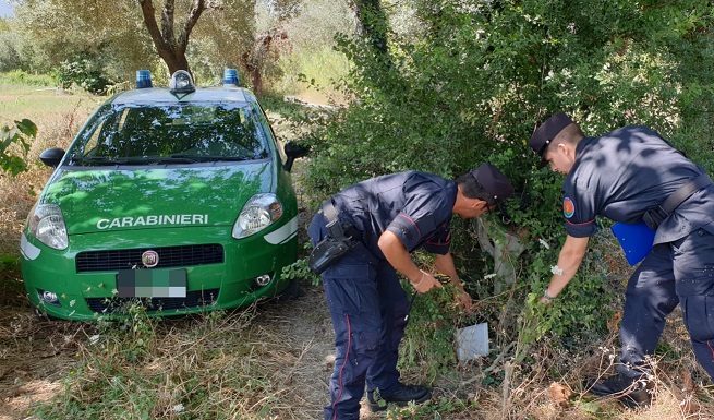 Operazione antibracconaggio, <br> i Carabinieri Forestali sequestrano <br> richiami acustici vietati: <br> denunce in arrivo?