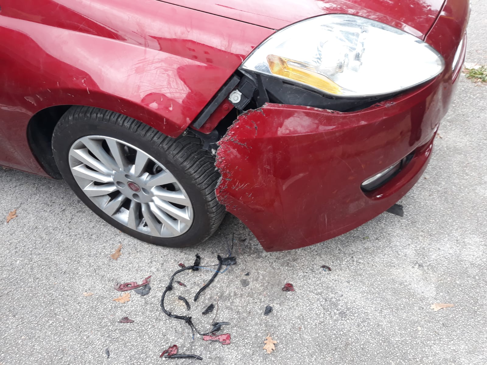 Scardina il paraurti di un’auto, <br> estrae e recide i fili elettrici <br> Ma non è stato un essere umano <span> (Le Foto)