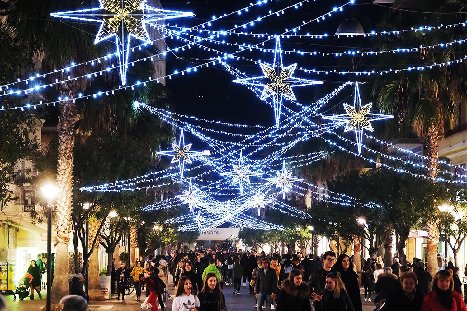 Accese le luminarie: tra le stelle comete <br> spunta pure un albero rossoblù <span> (Fotogallery)