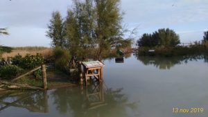 Pericolo acqua e melma, <br> riserva Sentina off limits <br> <span> (Foto e video) </span>
