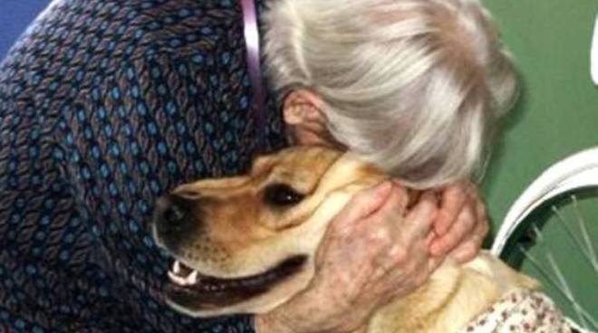 Animali domestici <br> in una famiglia su due: <br> nelle Marche spesa annua <br> di 115 milioni