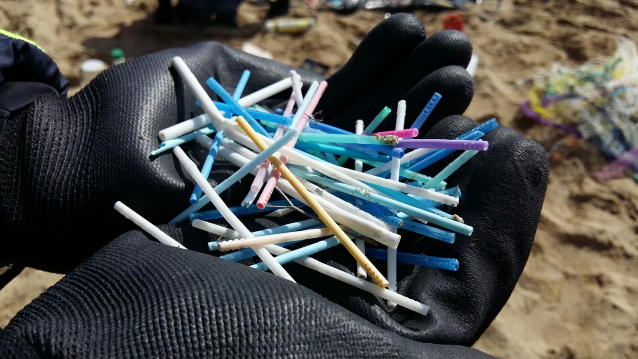 «Spiagge infestate dal polistirolo»: <br> Legambiente fa i conti coi rifiuti