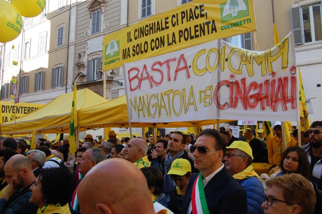 Protesta di Coldiretti a Montecitorio: <br> «Danni alle coltivazioni e incidenti <br> a causa di caprioli e cinghiali»