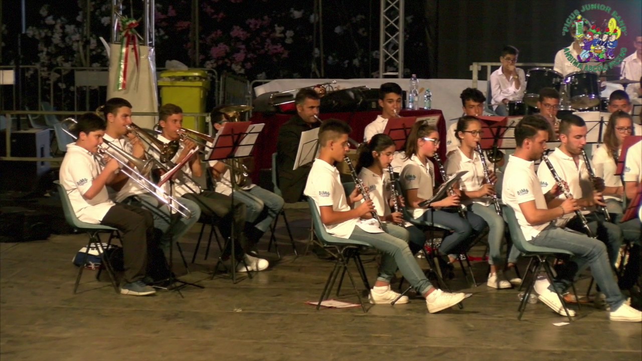 Picus Junior Band: <br> prima il campus, poi il concerto