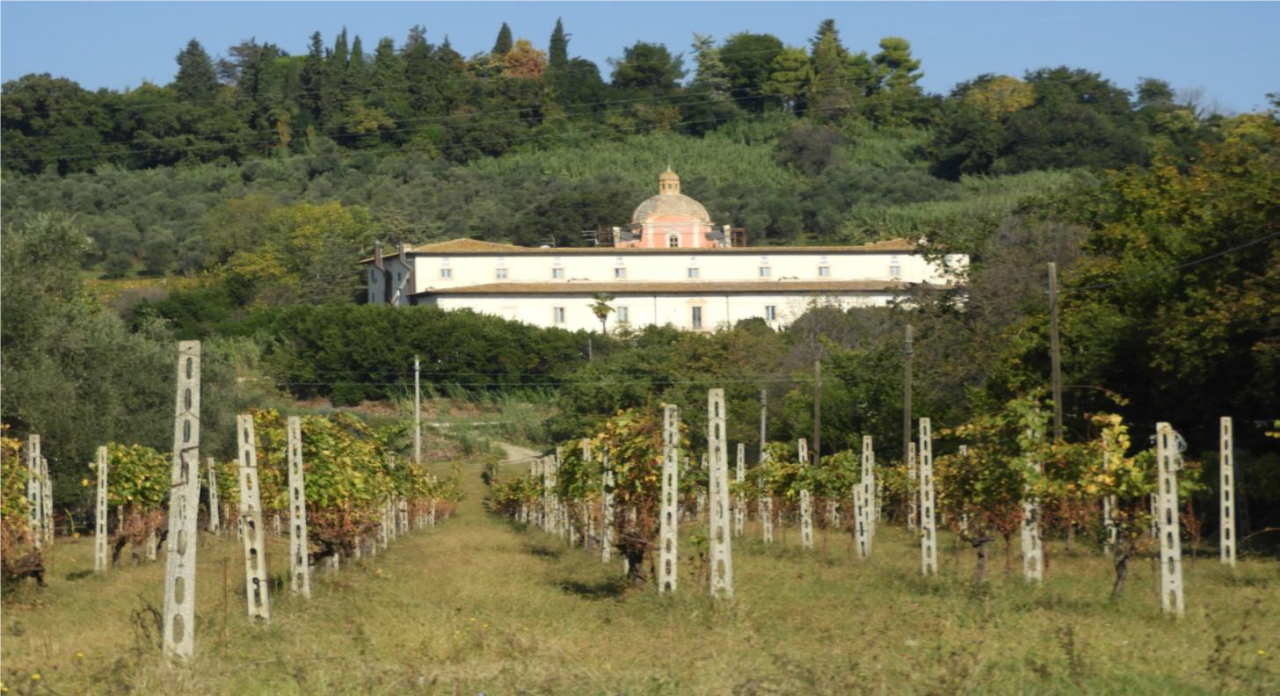Villa Sgariglia nel degrado ed in balia di atti vandalici: è tempo di soluzioni
