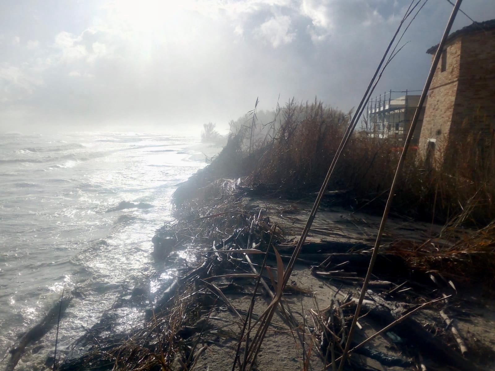 Muzi (Fi) presenta due interrogazioni <br> su Torre sul Porto e uso fototrappole