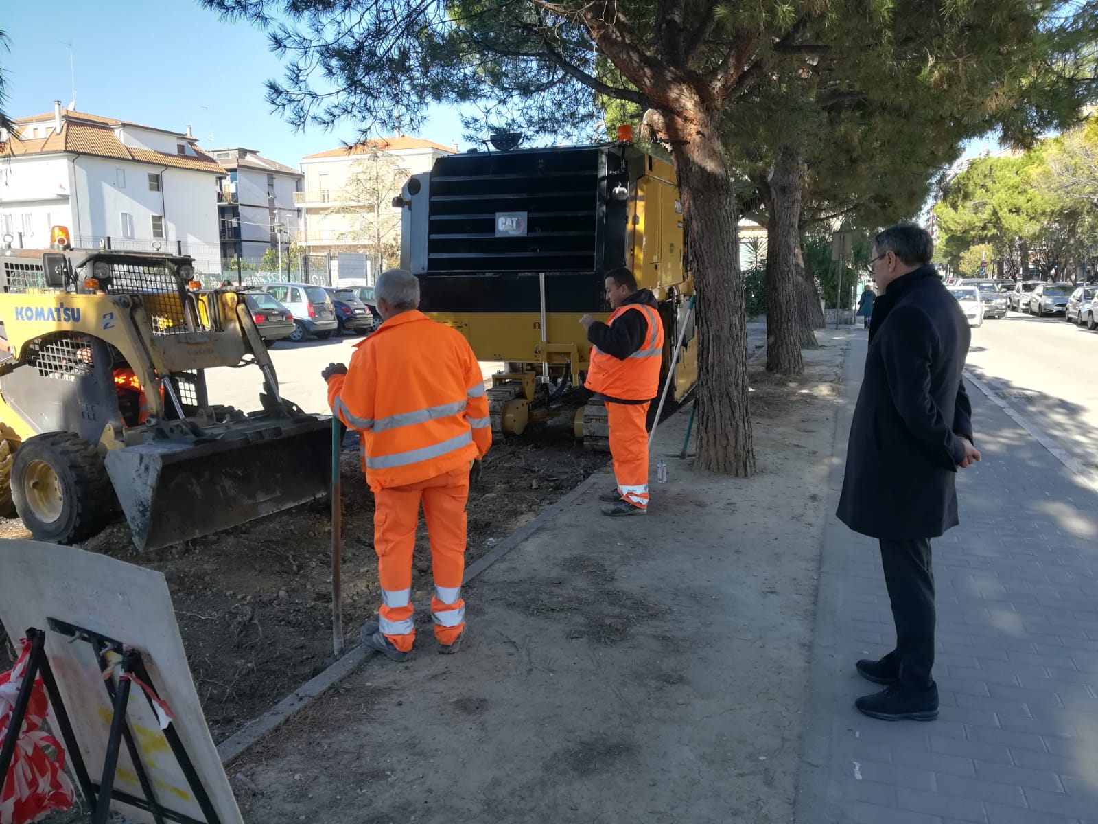 Radici dei pini pericolose, <br> lavori per sistemare gli asfalti rovinati