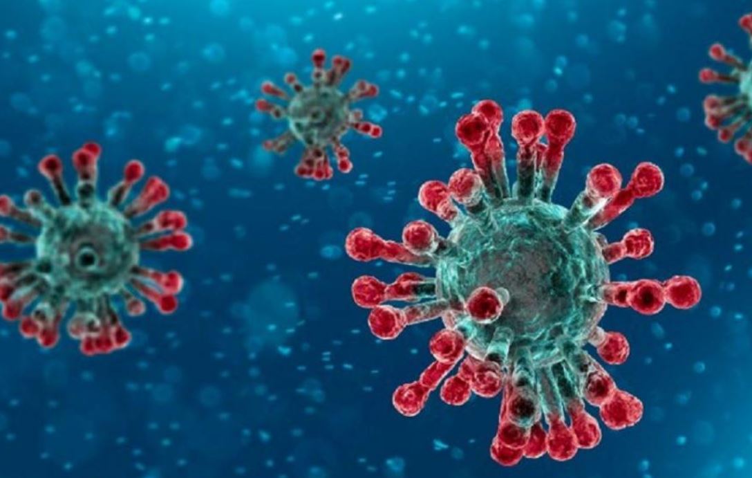 Coronavirus, test negativo <br> «Nelle Marche nessun caso sospetto»