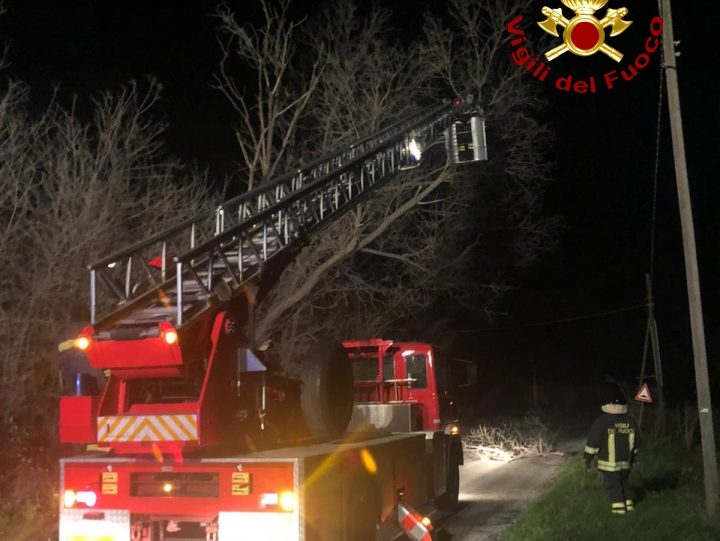 Vento sul Piceno, a Montefiore un albero si è abbattuto sopra un’auto