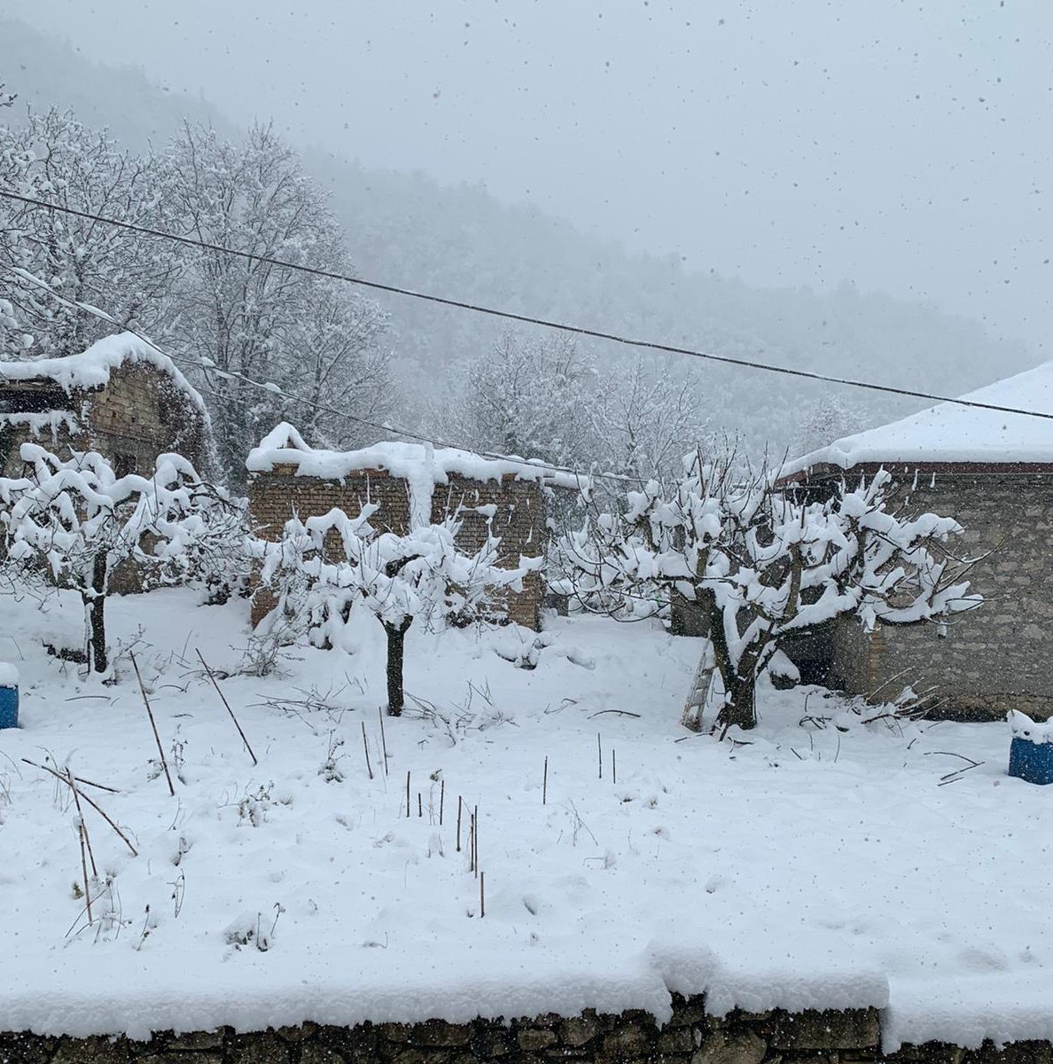 Neve anche a basse quote, <br> il risveglio bianco del Piceno <br> <span> (Foto e video) </span>
