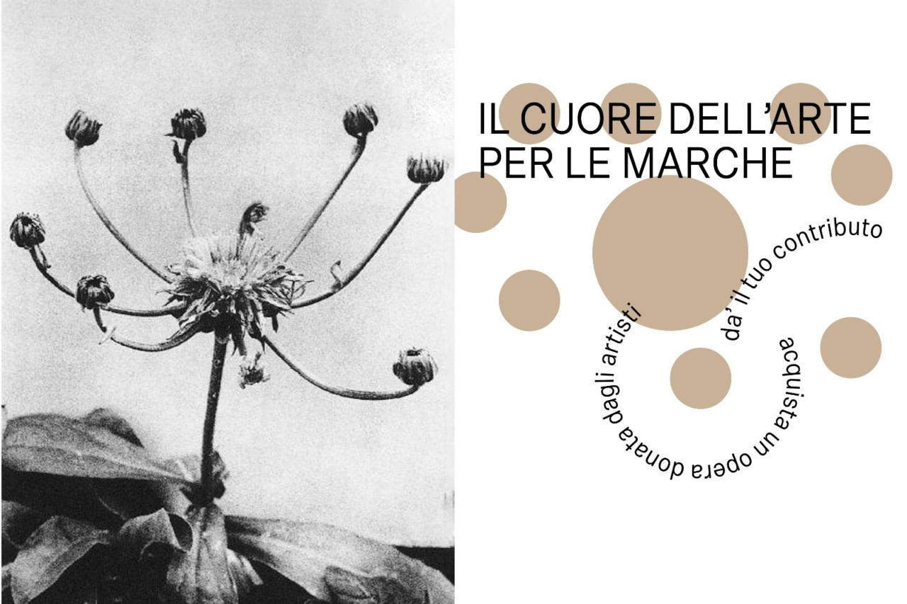 Artisti donano un’opera, <br> il ricavato aiuterà i marchigiani