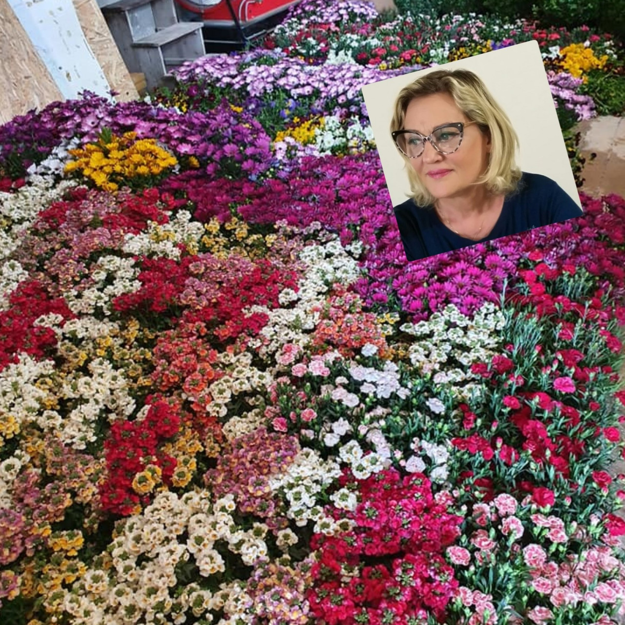 Azienda di San Benedetto regala <br> 400 piante fiorite a Montemonaco <br> Il sindaco: «Un gesto <br> che ci ha riempito il cuore» Azienda di San Benedetto regala <br> 400 piante fiorite a Montemonaco <br> Il sindaco: «Un gesto <br> che ci ha riempito il cuore»