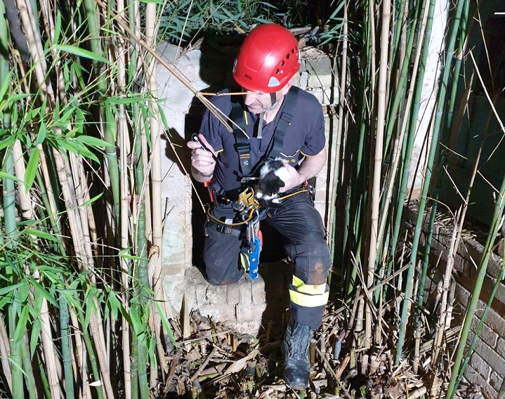 Gatto precipita in un pozzo, <br>i Vigili del fuoco si calano <br> a 10 metri di profondità e lo salvano