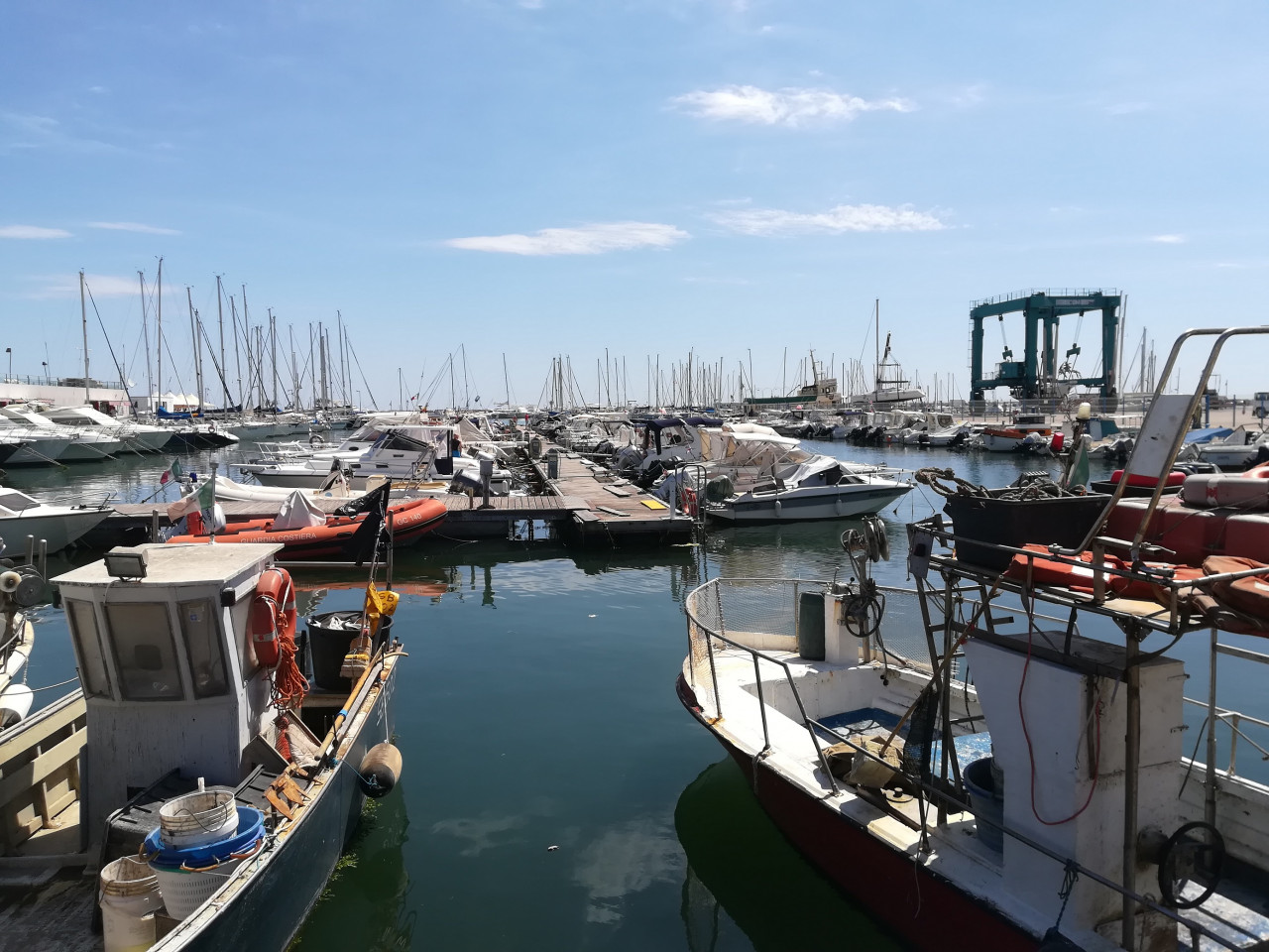 Settore ittico: due bandi <br>per il sud delle Marche Settore ittico: due bandi <br>per il sud delle Marche