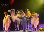 circo