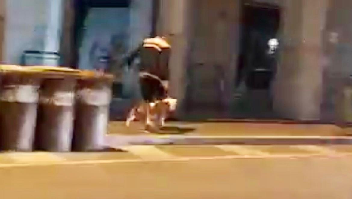 Pitbull azzanna un altro cane e lo uccide, <br> il proprietario scappa