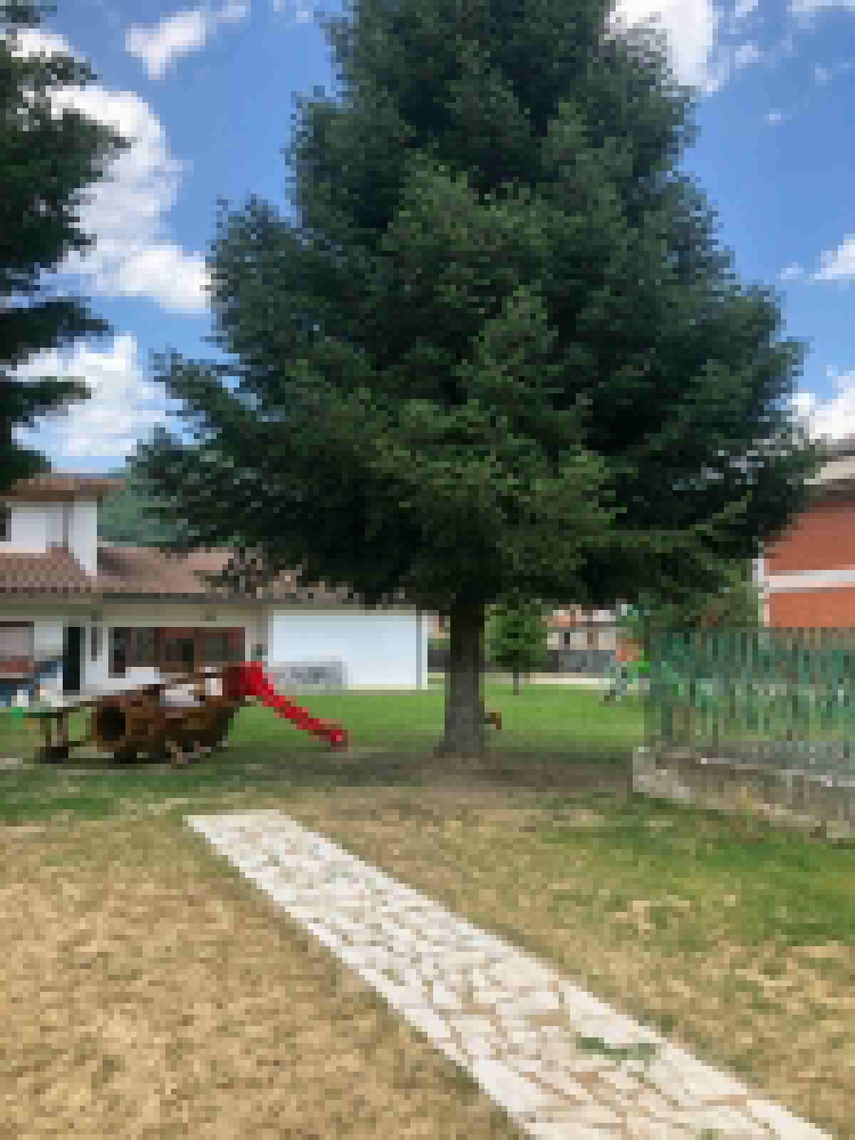 Estate 2020, a Roccafluvione <br> la serata cinema raddoppia