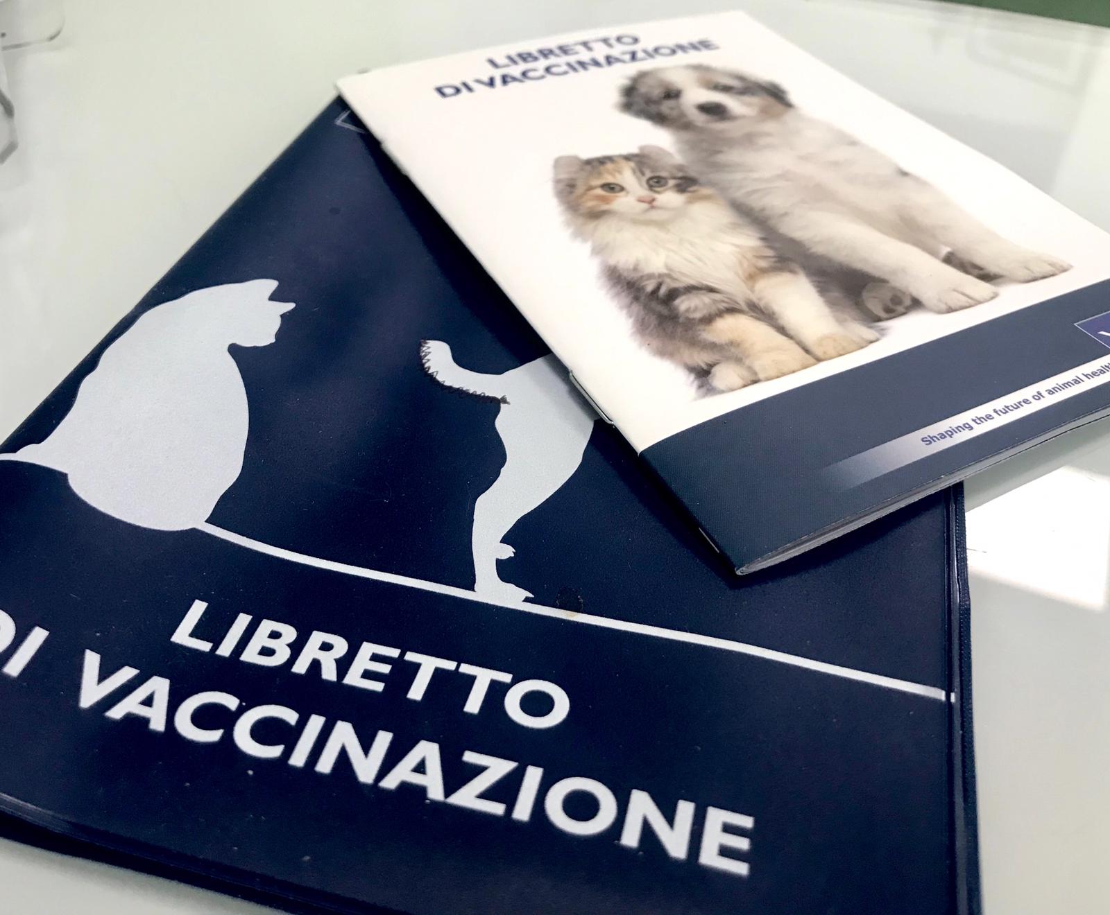 La vacanza sicura per cani e gatti: vaccinazioni e passaporto obbligatorio per l’estero