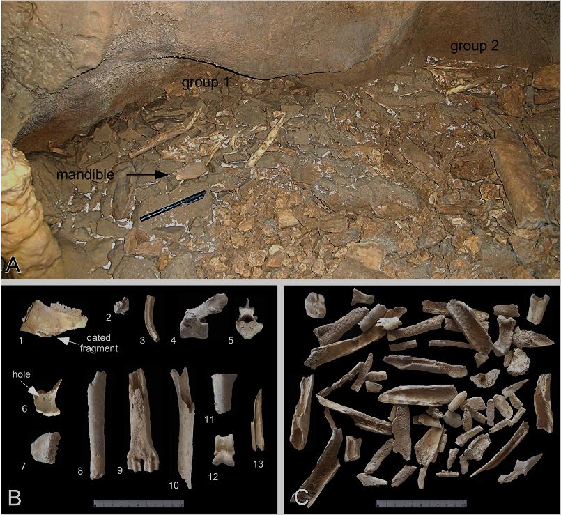 Frequentata dall’uomo <br> circa 16.300 anni fa: <br> Unicam nella grotta a Frasassi